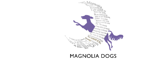 TOKYO 港区 MAGNOLIA DOGS |マグノリア ラブラドゥードル輸入