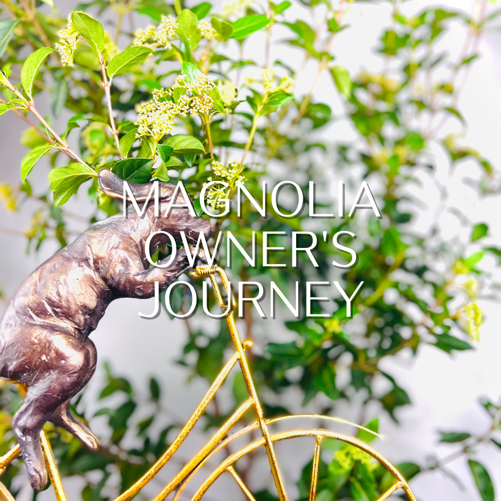 magnolia_owner's_journey.png