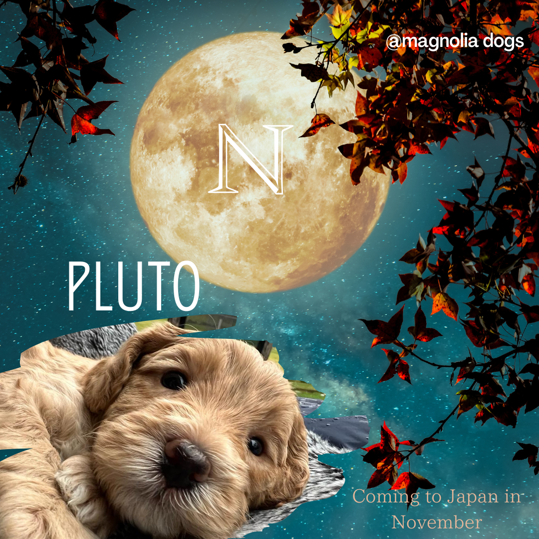 pluto.png