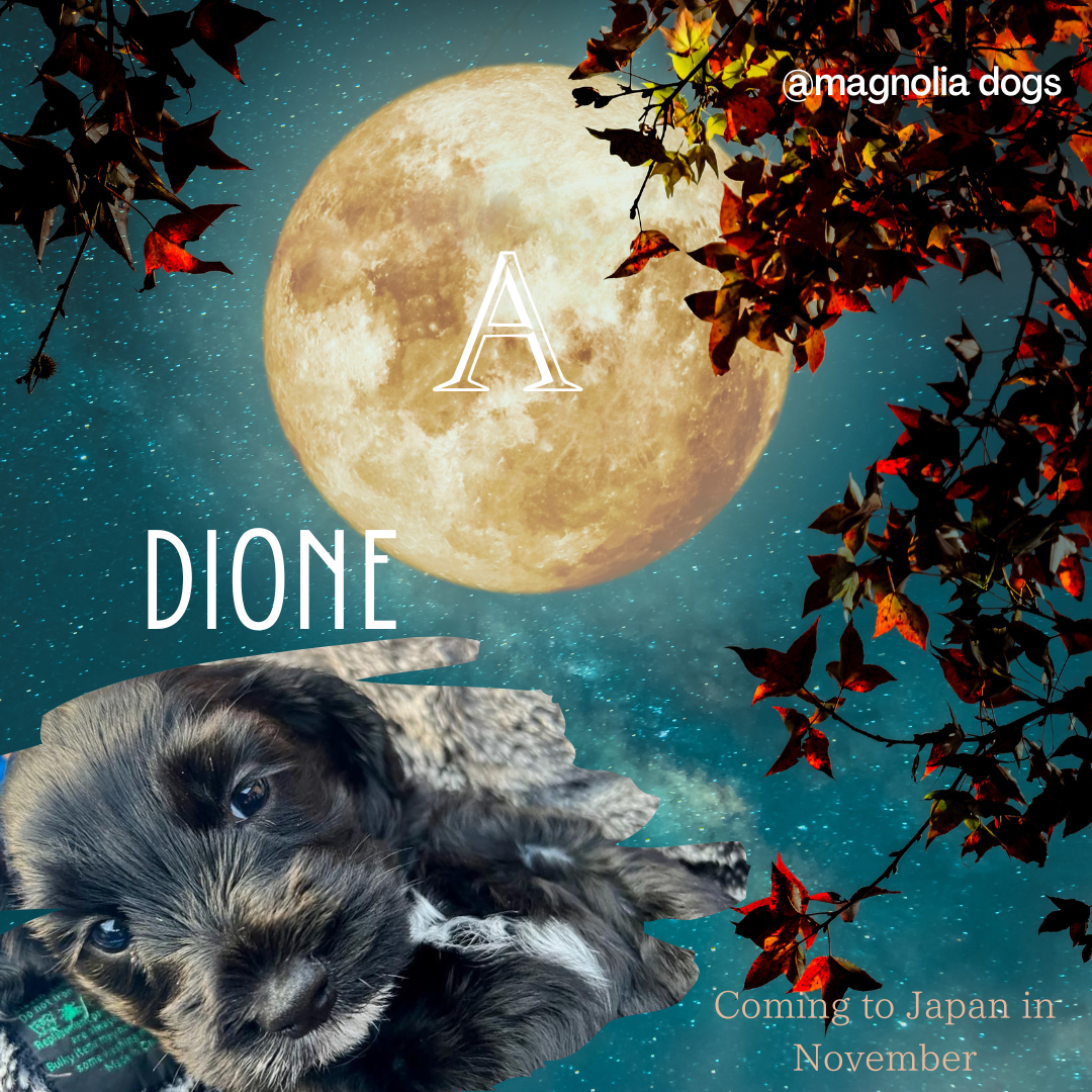 dione.png