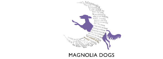 magnolia dogs